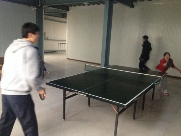 2013年乒乓球台球比赛